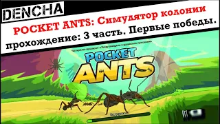 Pocket ants: Симулятор колонии. Прохождение #3