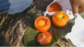 How To Cook 2 Eggs Omelette In A Tomato /Rare recipe / Wild life Survival /  Tasty Village Food