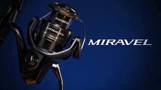 Review of the lightweight reel for modern fishing Shimano Miravel