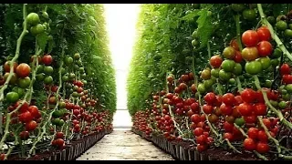 Israel Agriculture No.1 On the World  - AGRITECH 2018