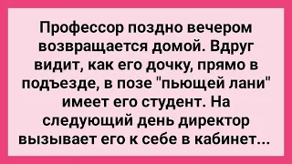 Профессор Увидел Студента и Дочь в Позе Пьющей Лани! Сборник Свежих Смешных Жизненных Анекдотов!