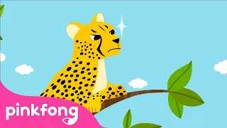 Citah | Lagu Binatang | Kartun & Lagu Anak | Pinkfong dan Baby Shark