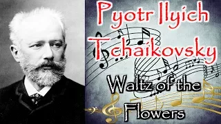 P. I. Tchaikovsky - Waltz of the Flowers / П. И. Чайковский - Вальс цветов