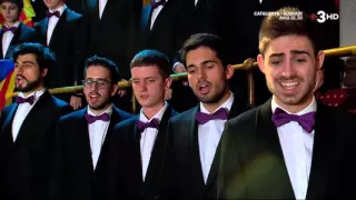 El Cant de la senyera  - Orfeó Català - 26 12 2015   - TV3HD