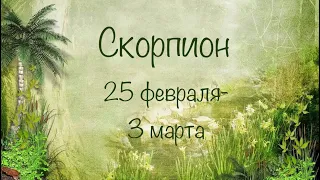 Скорпионы. 25 Февраля-3 Марта 2019 года 🍀