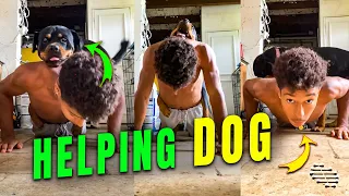 Loving Dog Rides Owner’s Back While Doing Pushups