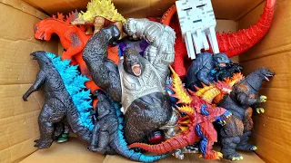 Hunting found godzilla, king kong, king ghidorah, biollante, gamera, ultraman kaiju