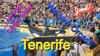Loro Park Tenerife 2024 Wyspy Kanaryjskie, czy warto odwiedzić? Widzieliśmy orki i delfiny