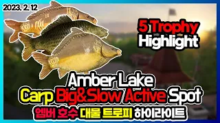 2/12/2023 Amber Lake Carp Big&Slow Active Spot l Russian Fishing 4 RF4