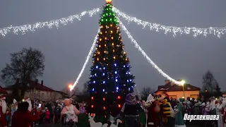 Главную елку Скиделя впервые зажгли всем городом