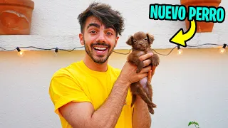 ESTE ES EL NUEVO PERRO DE LA VECIBANDA! *broma*