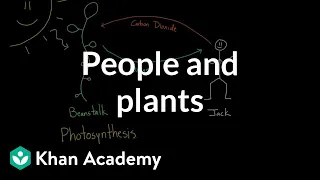 People and plants | Advanced respiratory system physiology | Health & Medicine | Khan Academy