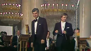 Solovyanenko  Концерт майстрів мистецтв КЗБС 1981