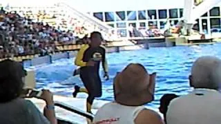 Orca show Loro Parc Tenerife part 4