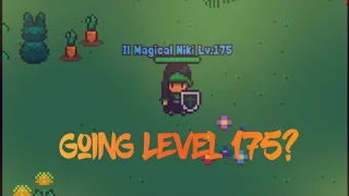 Rucoy Online: I finally decided to go for lvl 175 and solo some drgs
