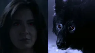 Talia Hale Alpha Werewolf Scenes | Teen Wolf Season 3