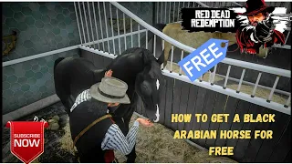 RDR2 How to get a black Arabian horse for free | 4K @jashagaming
