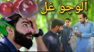 Da Alochu ghal |zindabad vines new|pashto funny clip 2020