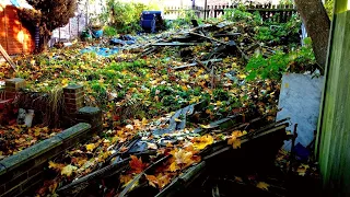 "It Looks Like A Bomb Has Gone OFF!" - My Biggest Garden Clearance So Far!