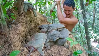 Found A lot Turtle n Catch to Cooking Eating Delicious in Forest