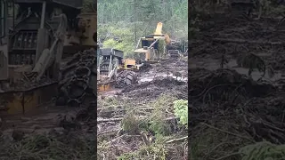 The CAT 555D pull the Tigercat 635H XTrême logging