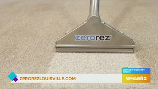 GDL: Bring in the Spring with a Clean Home done by Zerorez