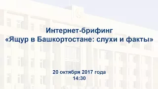 Брифинг из Правительства Республики Башкортостан на тему «Ящур в Башкортостане: слухи и факты»