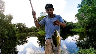 🇱🇰 Traditional Hook Fishing | Tilapia | Big Fish  | Fishing In Village |Fishing In Sri Lanka