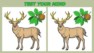 Can You Spot the 3 Differences in Just 90 Seconds? #231