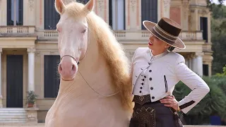 (II) Immposible is nothing - Photo Shooting in Royal Andalusian School of Equestrian Art