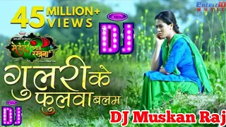 Ho Gail Gulari Ke Fulwa Balam |  गुलरी के फुलवा बलम DJ Remix | Richa Dixit | Super Hit Bhojpuri Song