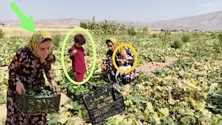 Betrayal of divorce. 💔 Nomadic man with two women. 🧕🧕 Mother goes to work for food.