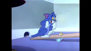Tom & Jerry Episode 61 Nit Witty Kitty 1951