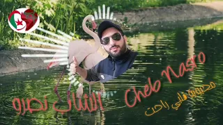 الشاب نصرو / محبوبة قلبي راحت / cheb nasro