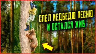 Спел медведю песню и остался жив. Таежные истории и байки. Аудио рассказы. Случай в тайге | 16+