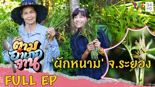 เข้าป่าตามหา 'ผักหนาม' จ.ระยอง | ตามอำเภอจาน | 24 ก.ย.65 Full EP