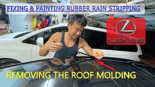 Lexus IS250 IS350 IS-F Roof Molding Rain Gutter Removal and Paint