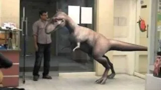 pet dino.mov