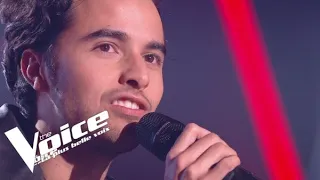 Stéphane Eicher  – Déjeuner en paix |Romain| Blind Audition |The Voice France 2020