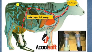 4 Технология машинного доения коров