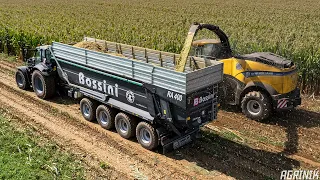 XXL Corn Silage at Belluco Farm 🌽 | New Holland FR 920 & 12 Rows | 2x Bossini 4 axle