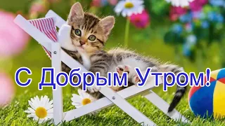 Желаю Доброй Субботы! 🎉Красивая Музыкальная Открытка Пожелания! Красивая Музыка!