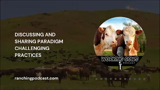 Ep. 225 – Bob Havard – Grass-Fed Beef Genetics | Working Cows