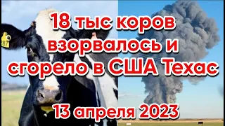 В результате взрыва на молочной фабрике в Техасе погибло более 18 тысяч коров