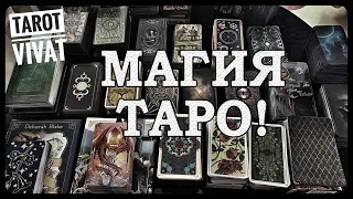 МАГИЯ ТАРО! МОИ САМЫЕ ЛЮБИМЫЕ И РАБОЧИЕ КОЛОДЫ| ТАРО ОНЛАЙН | КАК ГАДАТЬ НА ТАРО |  СЕКРЕТЫ ТАРО |