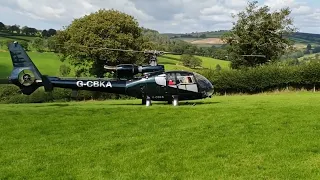 Gazelle lift offs, flying and formation