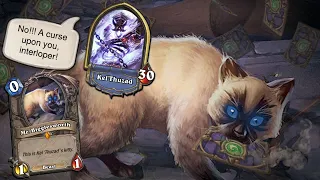 Hearthstone - Can You Defeat Kel'Thuzad With His Own Cat?