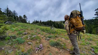 2024 Oregon Spring Bear EP: 2 How to Find Oregon's High Cascade Bears
