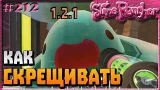 КАК ПРАВИЛЬНО СКРЕЩИВАТЬ СЛАЙМОВ (ГАЙД ДЛЯ НОВИЧКОВ) | Slime Rancher [212]