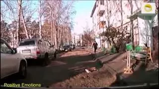 Лучшая подборка мегаржачных приколов. Ноябрь 2014 №3. Epic Fails and wins compilation 2014